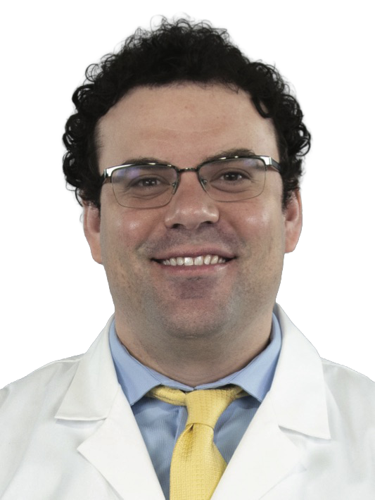 The Regenerative Dentistry Movement